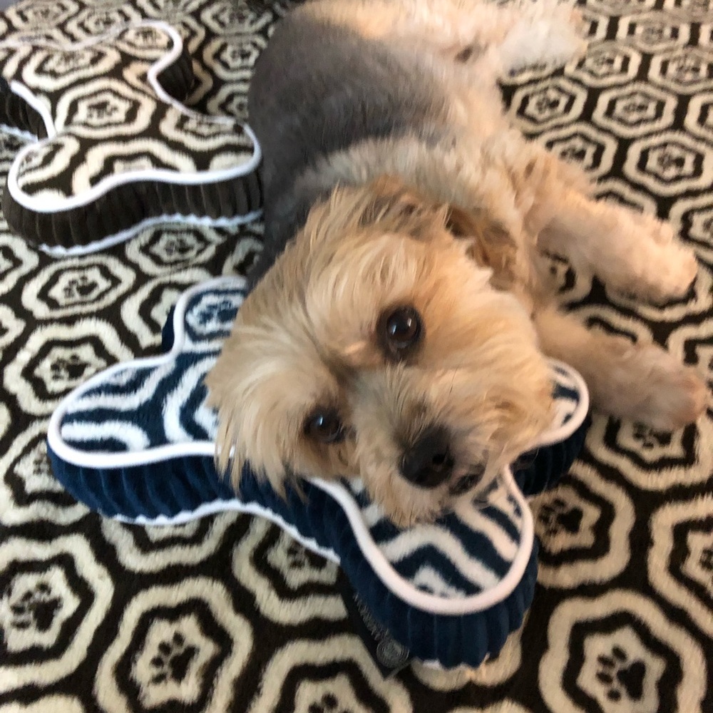 Meet your Posher, Catherine